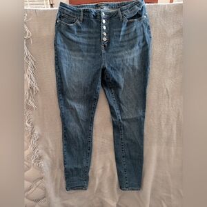 Judy Blue Dark Wash Button-Fly Skinny Jeans